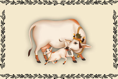 Cow-CP111.jpg