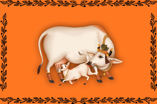 Cow-CP112.jpg