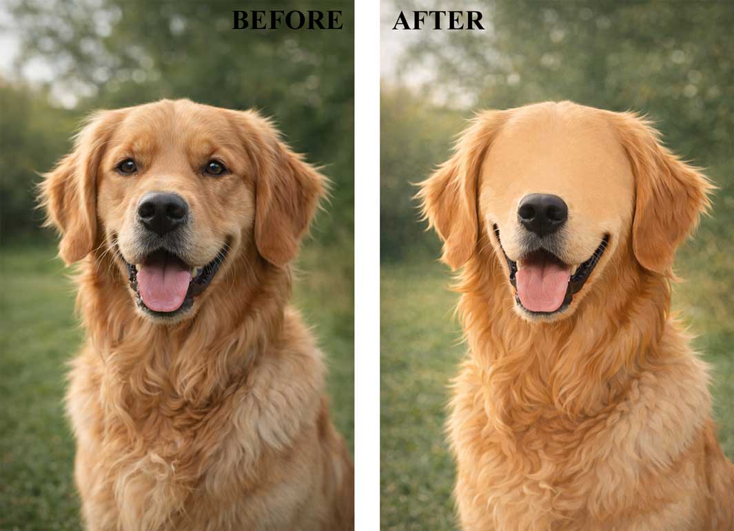 Dog Faceless Portrait