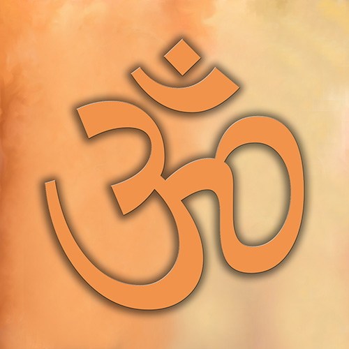OM-CP25.jpg