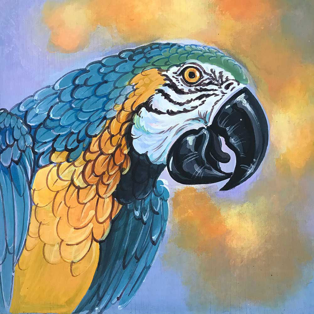 Parrot_CP109.jpg