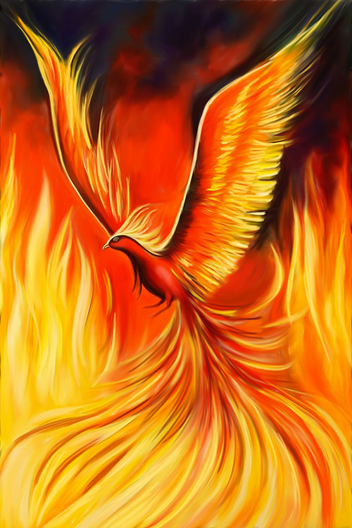 Phoenix-CP107.jpg