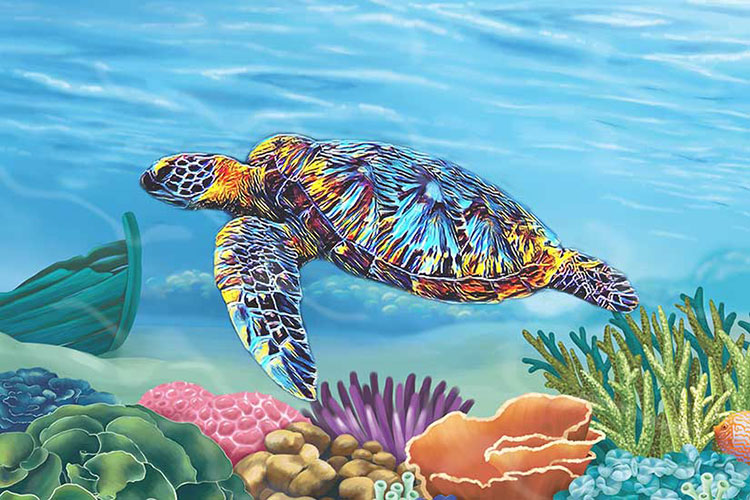 Turtle-CP101.jpg