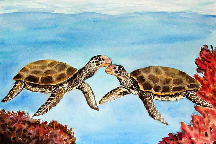 Turtle-CP104.jpg