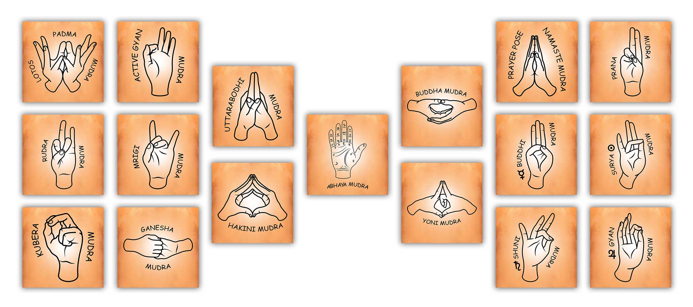 Yoga-CP105.jpg